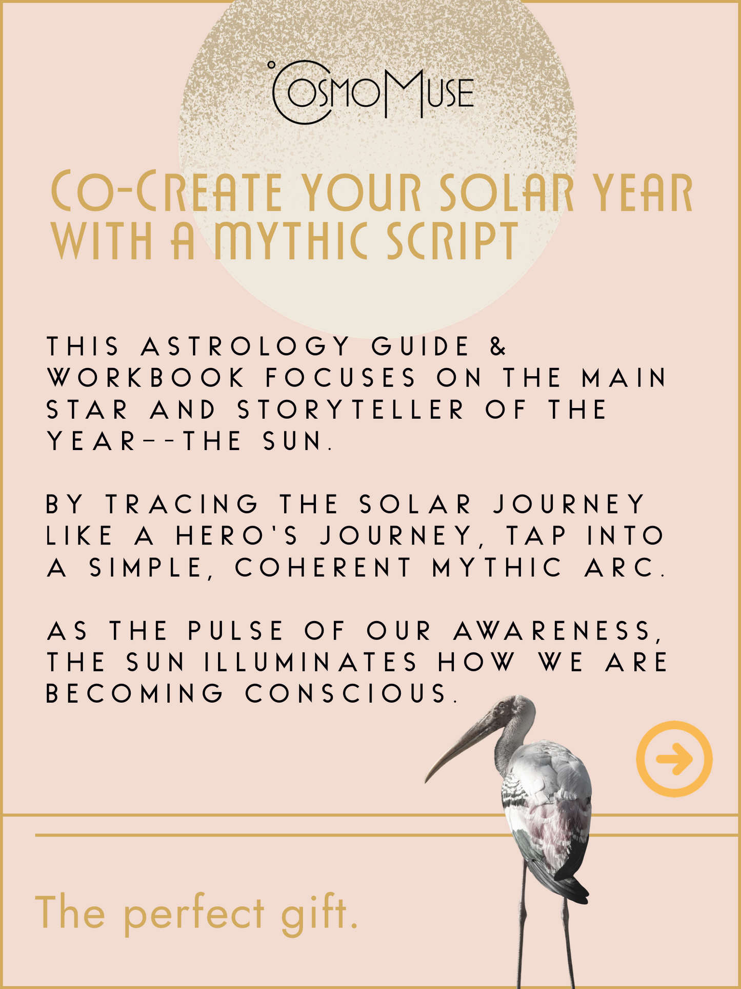 2026 Solar Year: An Astrological Guide & Workbook